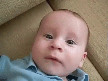 jnQYWZ0T4mkhCmkzcn (1).gif