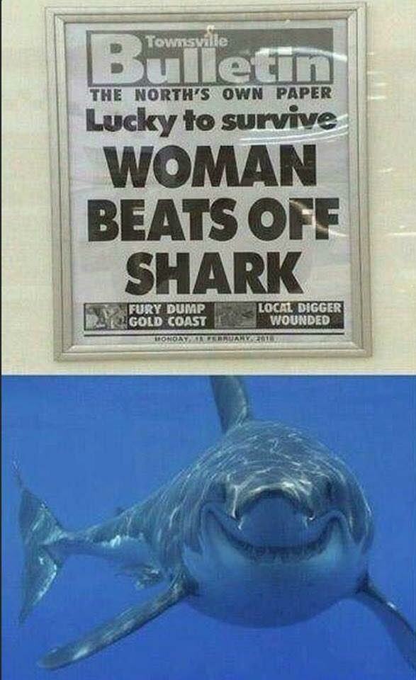 DLh64WcXkAA7gF0.jpg
