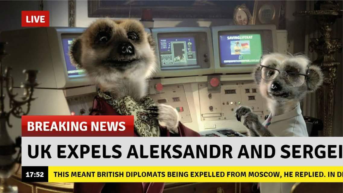 DYrZTwqW4AINSxP.jpg